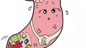 注意这些行为看似养胃其实伤胃 第1张 注意这些行为看似养胃其实伤胃 第1张