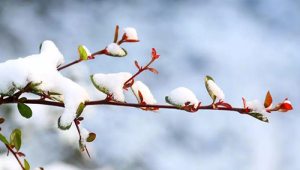 春分时节捂对部位更健康春捂牢记这三点 第1张 春分时节捂对部位更健康春捂牢记这三点 第1张