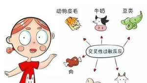 过敏是因为免疫力差吗 第1张 过敏是因为免疫力差吗 第1张