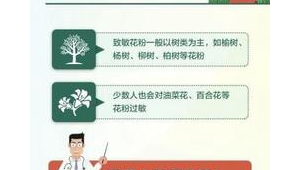 春季花粉过敏高发期防护指南 第1张 春季花粉过敏高发期防护指南 第1张