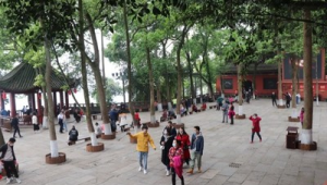 清明假期健康指南:重点预防六大方面 第1张 清明假期健康指南:重点预防六大方面 第1张