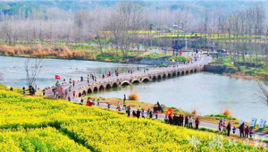 远安马拉松万人花海迎春奔跑 第1张 远安马拉松万人花海迎春奔跑 第1张