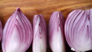 多吃洋葱能软化血管系谣言 第1张 多吃洋葱能软化血管系谣言 第1张