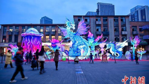 成都艺术游园会闹新春获市民盛赞非遗潮年魅力十足  第1张