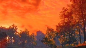 一路生花缘何全球生花唱作人揭秘创作背后的故事 第1张 一路生花缘何全球生花唱作人揭秘创作背后的故事 第1张