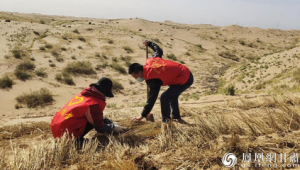 挺进沙海鏖战不停歇万亩沙漠变良田 第1张 挺进沙海鏖战不停歇万亩沙漠变良田 第1张