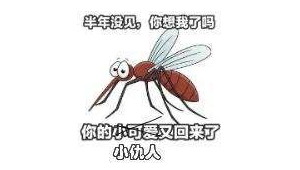 老板一夜血亏多万竟因灭蚊惹祸 第1张 老板一夜血亏多万竟因灭蚊惹祸 第1张