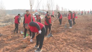 植树热潮席卷齐鲁大地披上新绿装 第1张 植树热潮席卷齐鲁大地披上新绿装 第1张