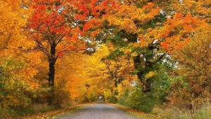 北方气温起伏明显南方将迎新一轮降雨缓解干旱 第1张 北方气温起伏明显南方将迎新一轮降雨缓解干旱 第1张