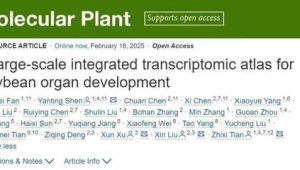 中国研究团队成功绘制首个国产大豆基因组时空图谱 第1张 中国研究团队成功绘制首个国产大豆基因组时空图谱 第1张