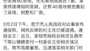 河南武陟县通报村庄亩麦苗被铲除事件 第1张 河南武陟县通报村庄亩麦苗被铲除事件 第1张