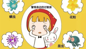 春季易过敏人群预防指南 第1张 春季易过敏人群预防指南 第1张