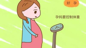 一天中四个易发胖时段的科学饮食指南 第1张 一天中四个易发胖时段的科学饮食指南 第1张