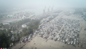 琼州海峡北岸大雾致海口三港停航 第1张 琼州海峡北岸大雾致海口三港停航 第1张