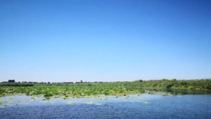 河北白洋淀治理保护成果持续巩固成效显著