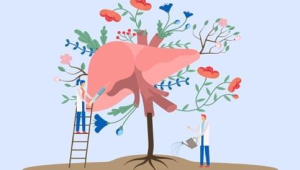 春季便秘高发养好肝脾肺是关键医生支招 第1张 春季便秘高发养好肝脾肺是关键医生支招 第1张