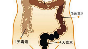 肠道健康看排便时间 第1张 肠道健康看排便时间 第1张
