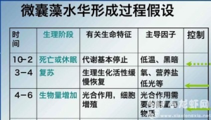 "代谢休眠才是你瘦不下来的隐形杀手" 第1张 "代谢休眠才是你瘦不下来的隐形杀手" 第1张