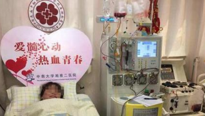 长沙岁双胞胎捐献干细胞成功救治岁母亲  第1张