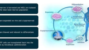 渐冻症靶向治疗临床应用取得重大突破