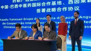 千年药都安国开拓南美市场助推中医药走向世界 第1张 千年药都安国开拓南美市场助推中医药走向世界 第1张