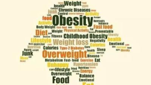 远离脂肪肝的四个关键方法 第1张 远离脂肪肝的四个关键方法 第1张